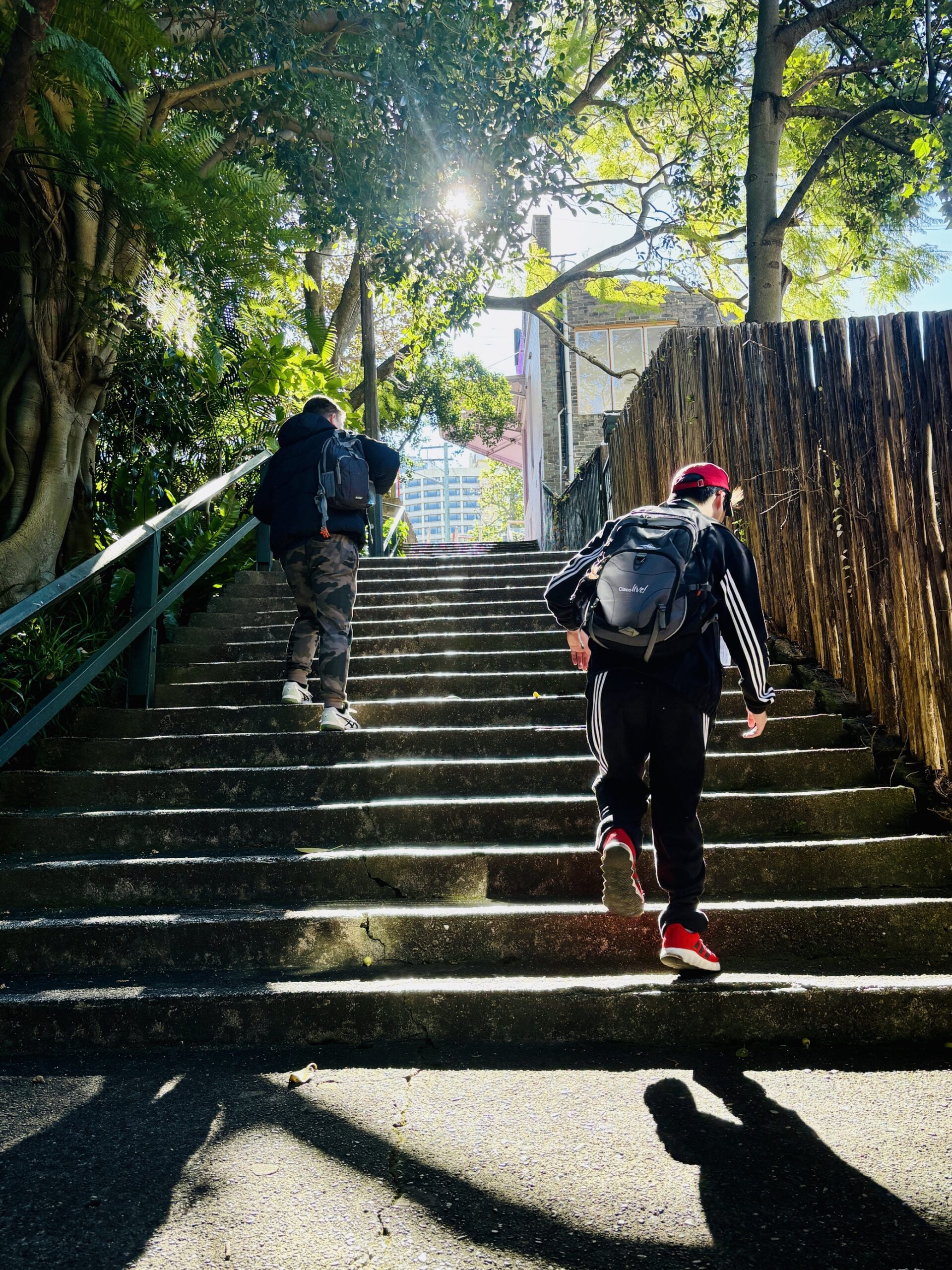 Two people with backpacks climb a sunlit outdoor staircase surrounded by trees and wooden fencing. A railing runs along the left side.